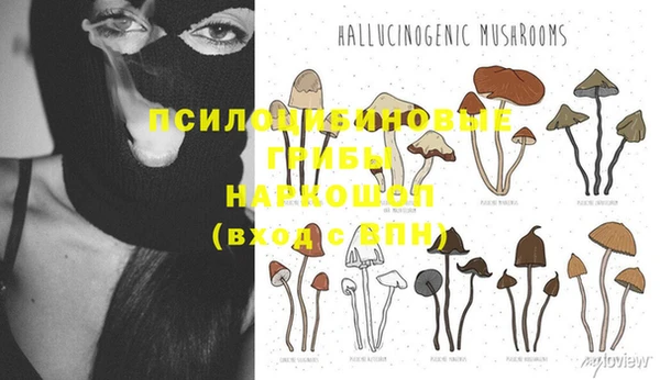 mix Алексин